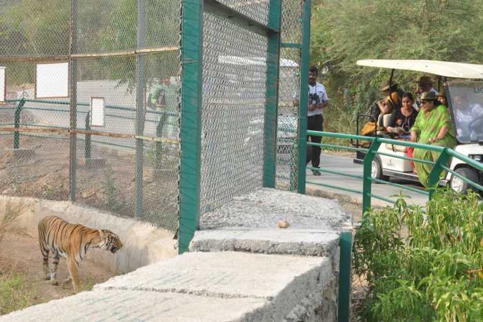 Sajjangarh Biological Park Udaipur