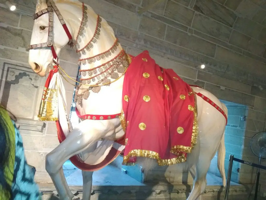 Chetak Horse