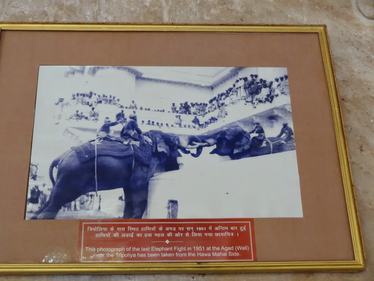 City Palace Udaipur (Elephant Fights Painting)