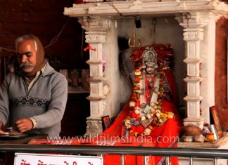Karni Mata Temple Udaipur