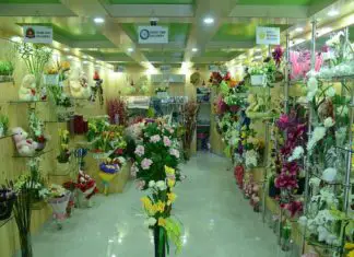 Florists in Udaipur