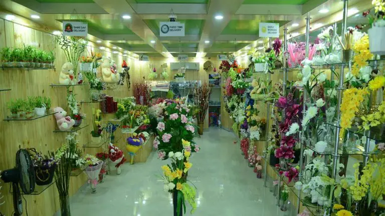 Top 5 Florists in Udaipur