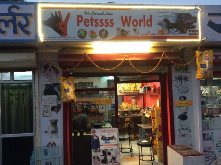 5 Best Pet Shops in Udaipur