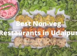 Best Non-veg Restaurants in Udaipur