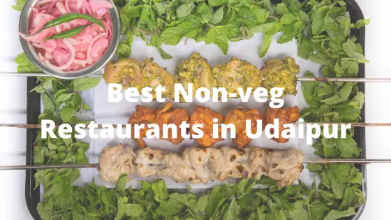 15 Best Non Veg Restaurants in Udaipur